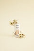 NM pure color FARAH